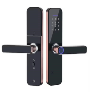 Smart Door Lock Keyless Wi-Fi App Controlled Blue Tooth Biometric Fingerprint – BRONZE